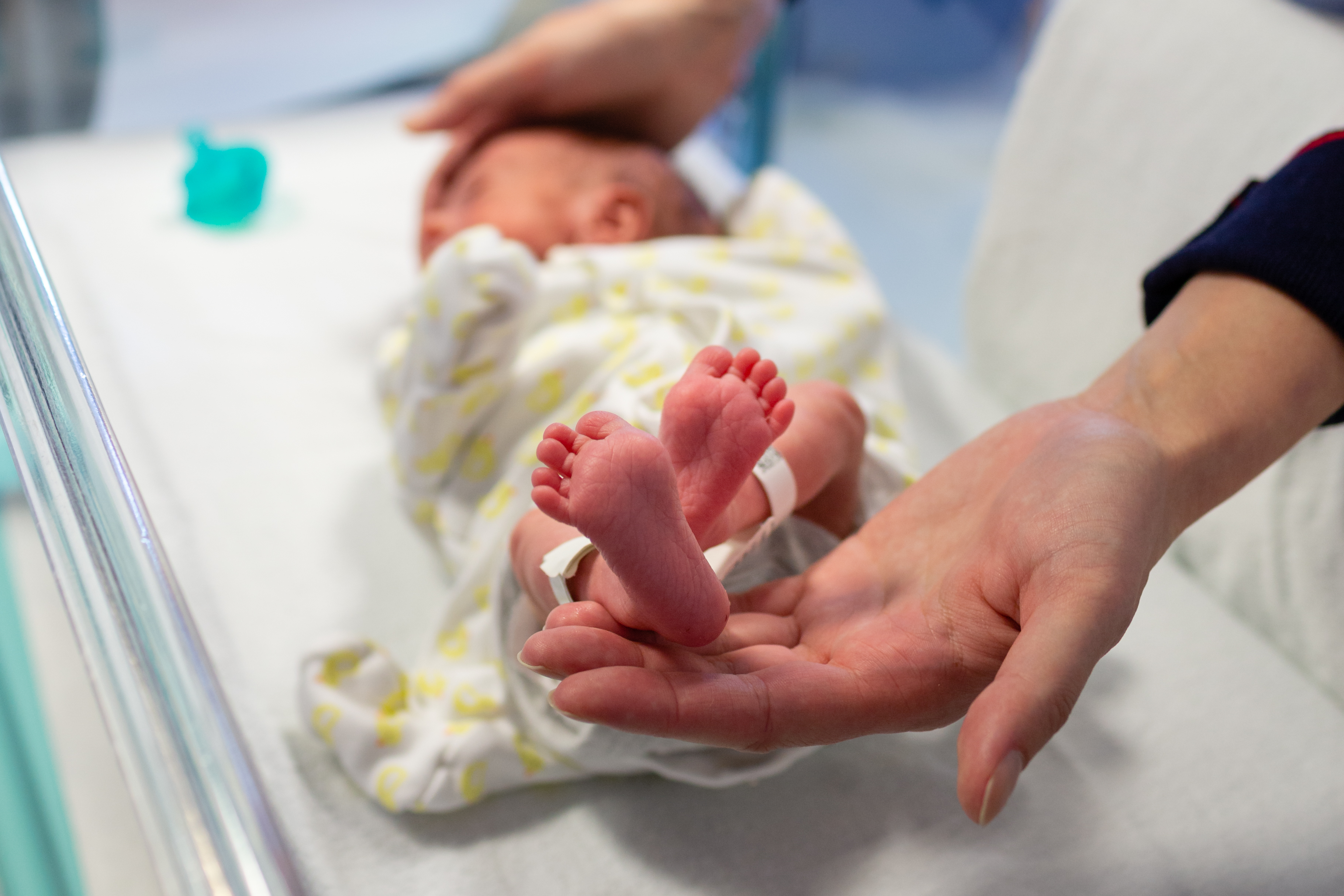 Neonatal photographer Kingston Hospital Surrey