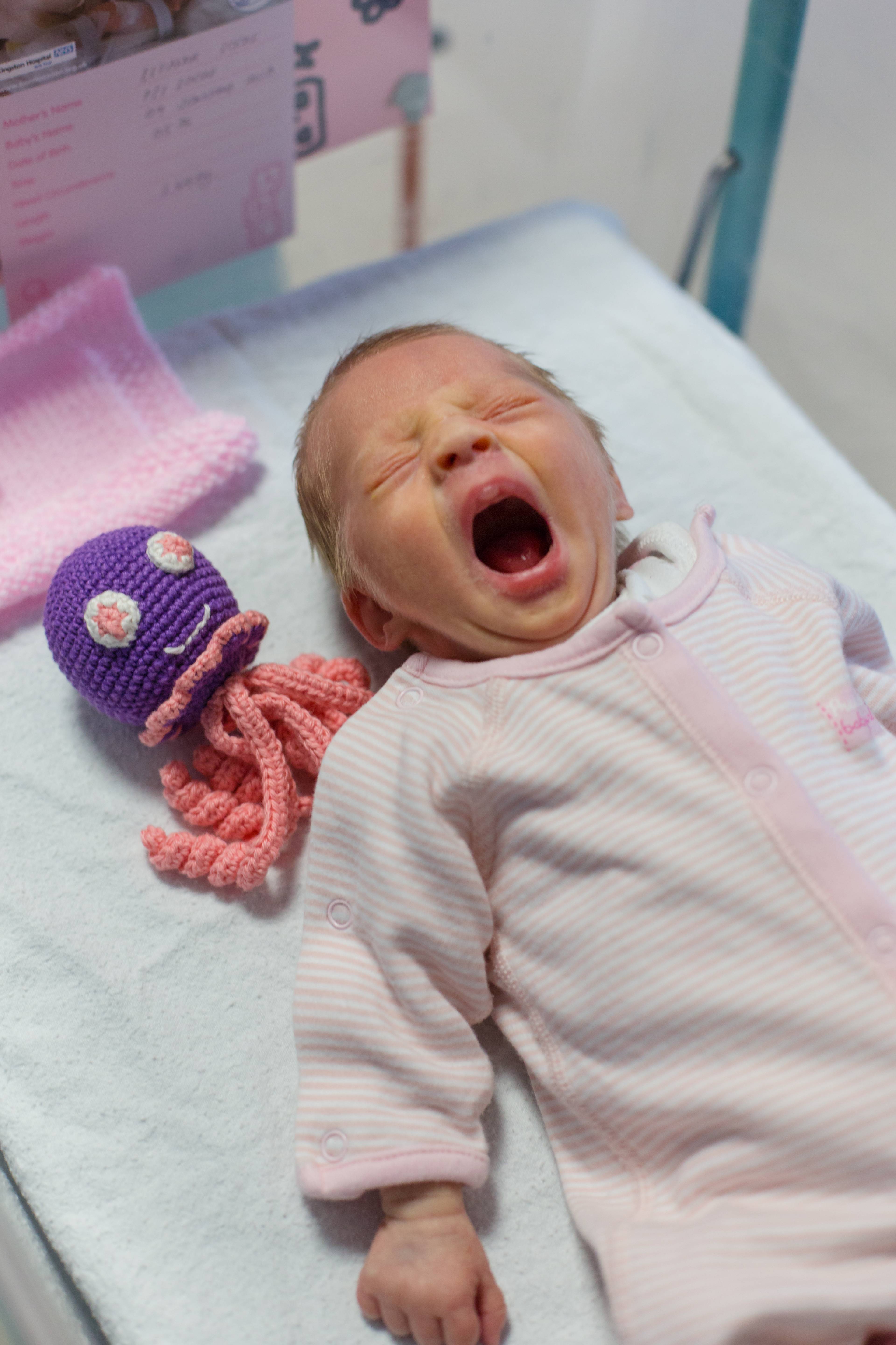 Neonatal photographer Kingston Surrey