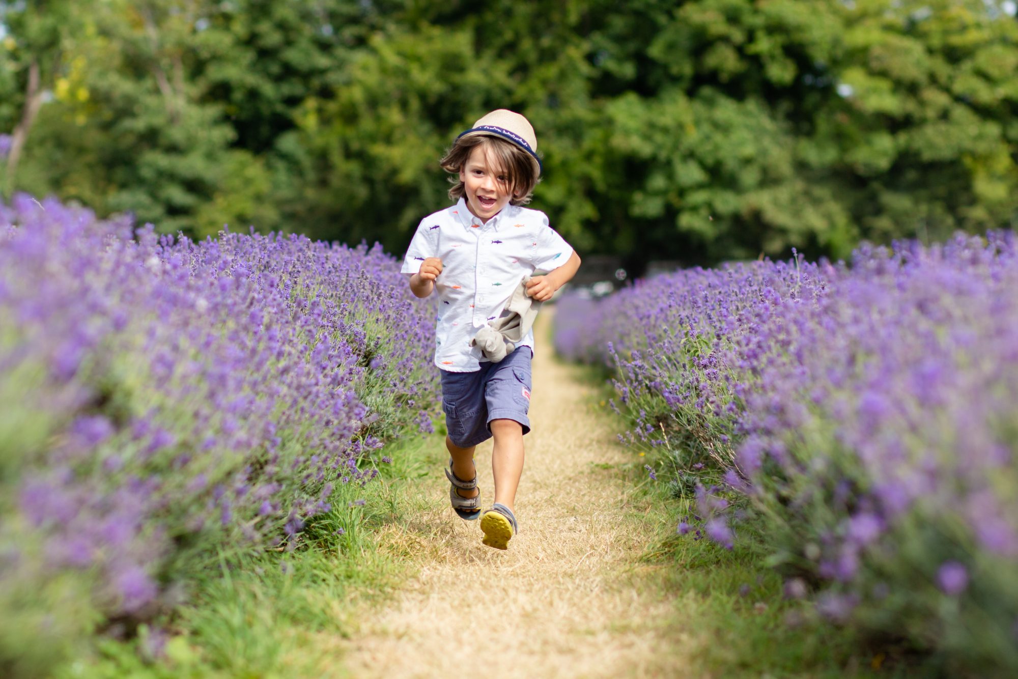 Lavender field photoshoot