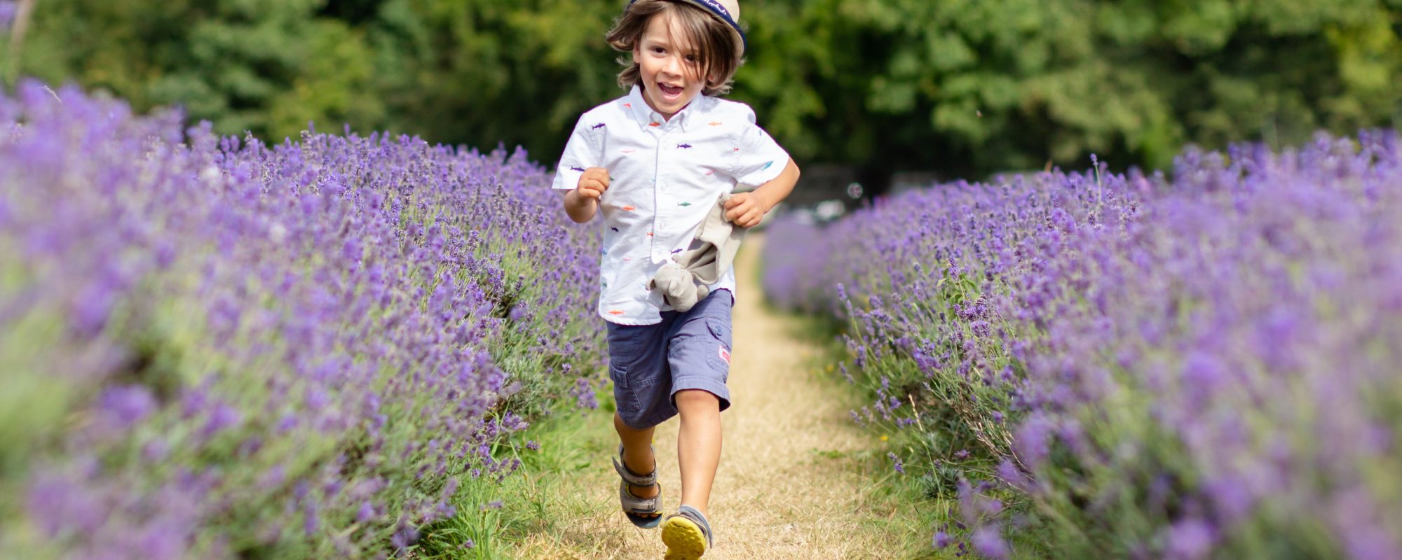 Lavender field photoshoot